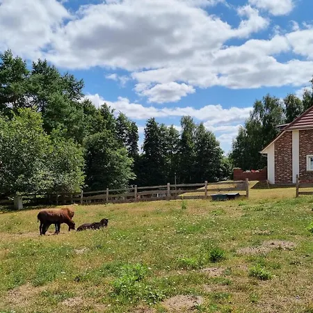 Pet Friendly Apartment